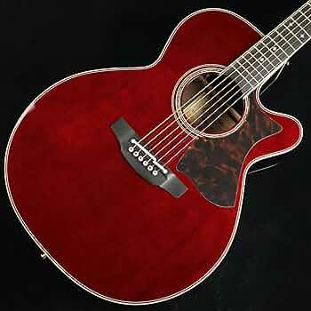 Takamine DMP50S Natural タカミネ　エレアコ Plek済み 楽天市場】Takamine DMP50S NAT エレアコギター セミハード